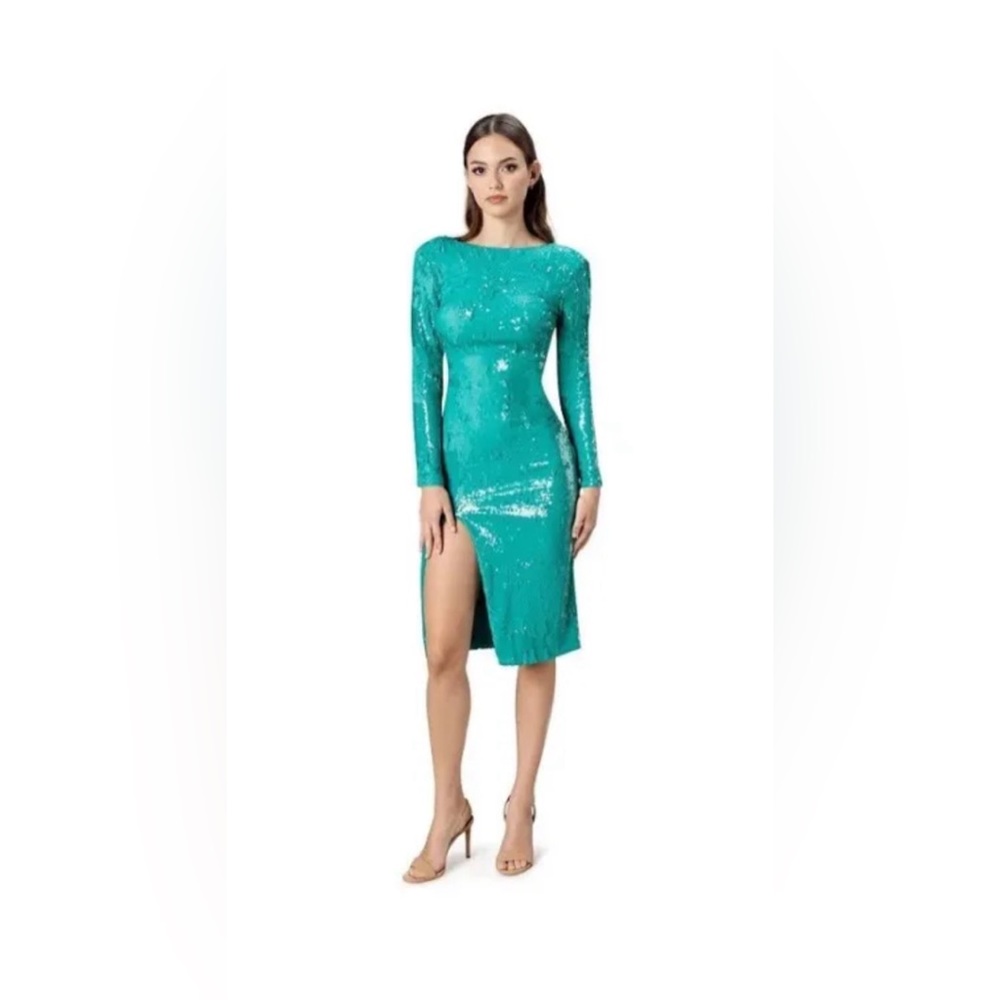 Dress the Population Natalie Dress